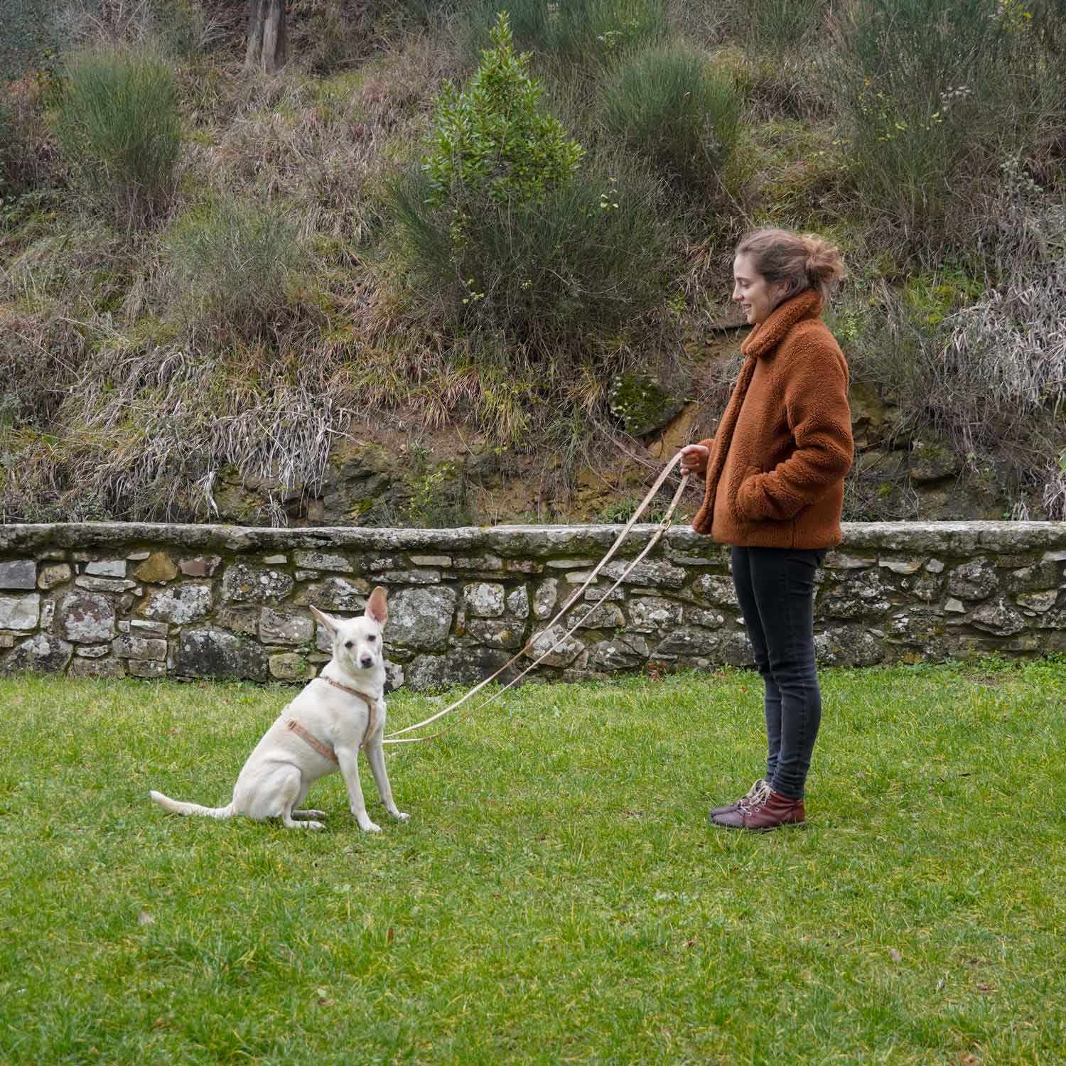 Guinzaglio Mani Libere - Sughero - Eco Impronta