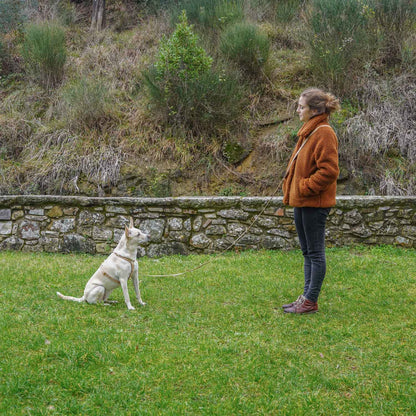 Guinzaglio Mani Libere - Sughero - Eco Impronta