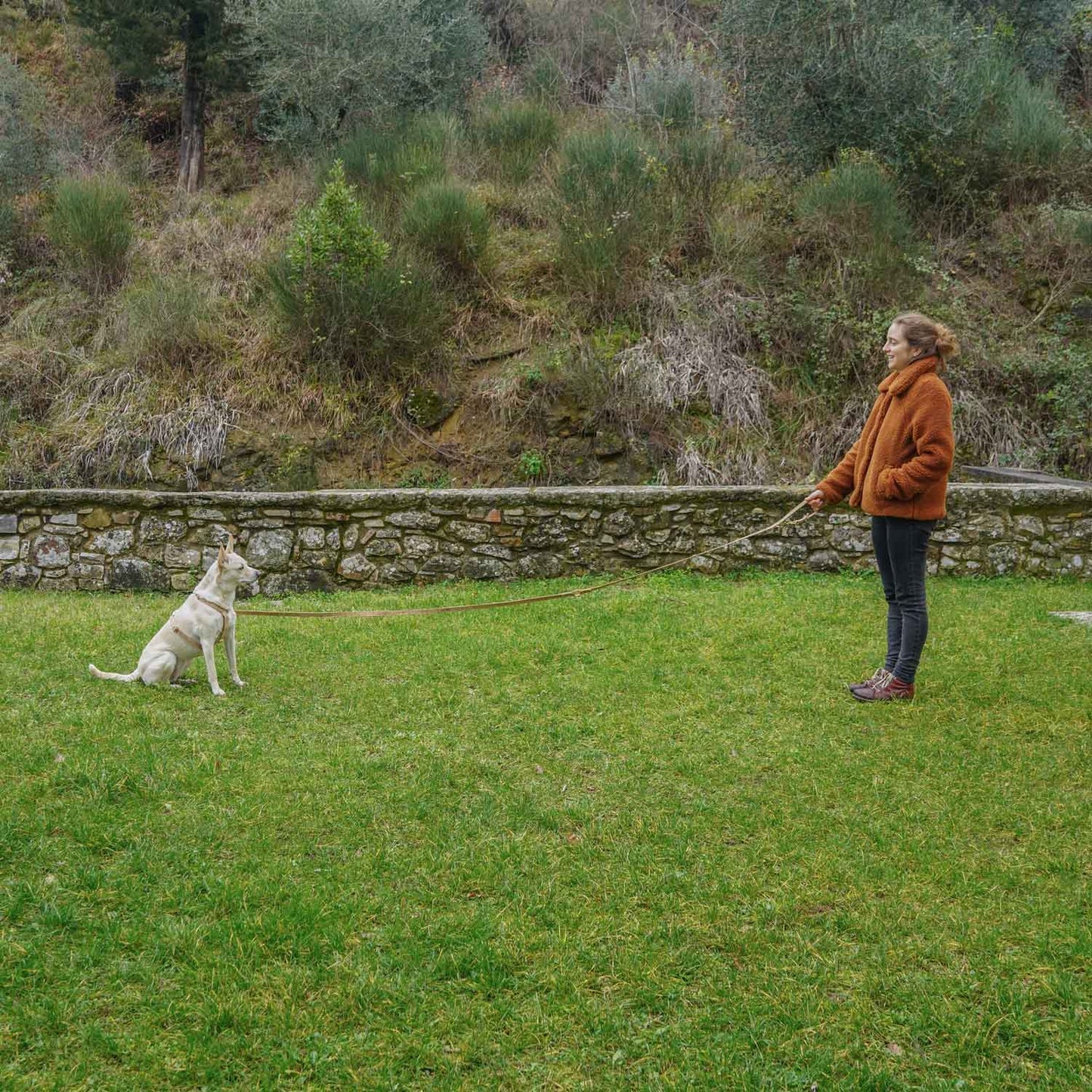 Guinzaglio Mani Libere - Sughero - Eco Impronta